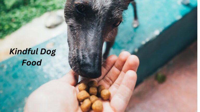 Kindful Dog Food Review